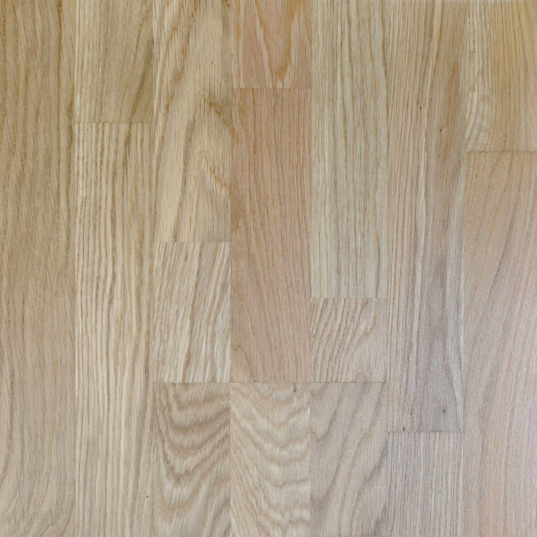 Rhein SB Eiche classic